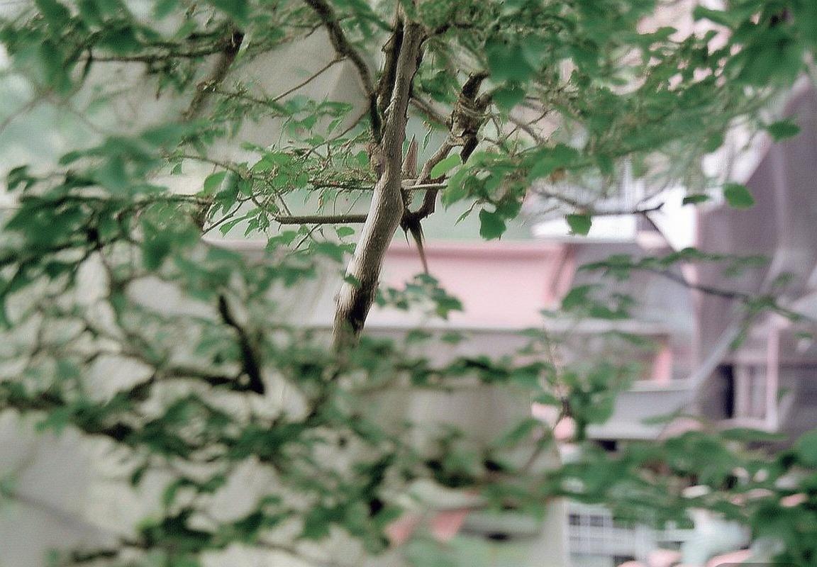 天津周末游-北京出发天津周末游路线-北京出发天津周末游路线
