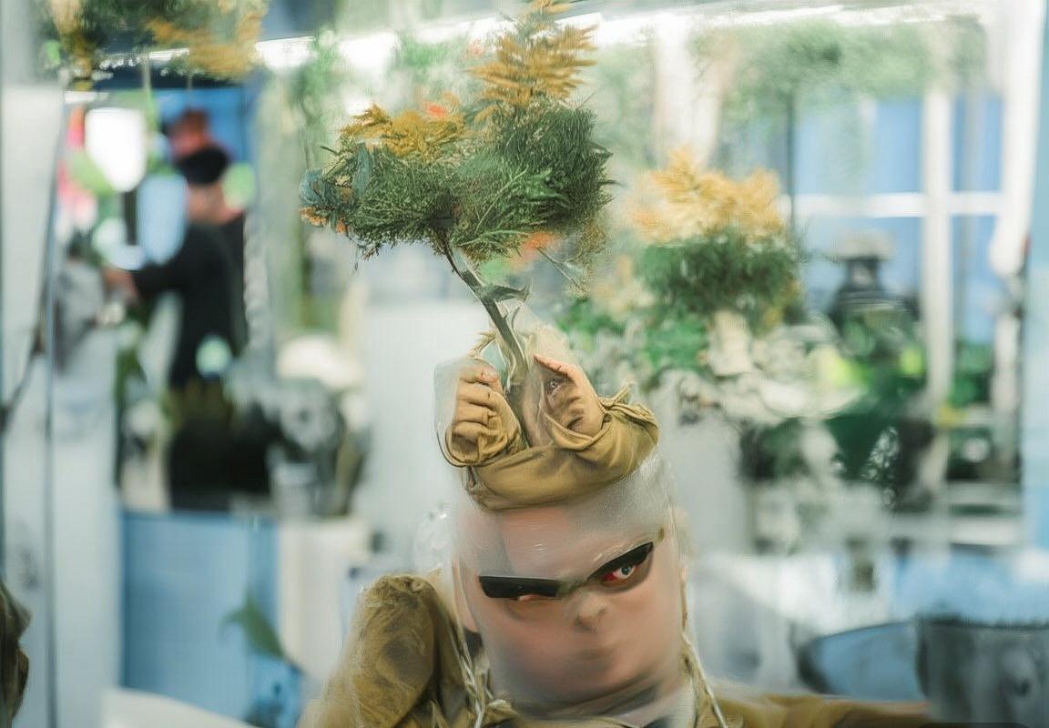 昆明出发大理周末高铁游-洱海骑行-大理古城